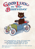 Cheers to a Joyful Birthday Adventure!